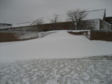 IMG_0430.jpg