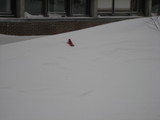 IMG_0435.jpg
