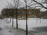 IMG_0437.jpg