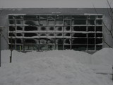 IMG_0445.jpg