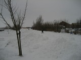 IMG_0447.jpg