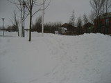 IMG_0449.jpg