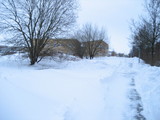 IMG_0465.jpg