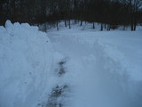 IMG_0470.jpg