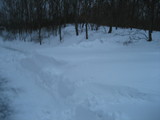 IMG_0471.jpg