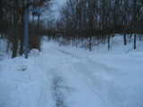 IMG_0472.jpg