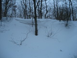 IMG_0474.jpg