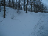 IMG_0475.jpg