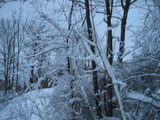 IMG_0478.jpg