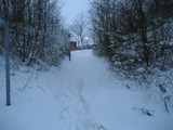 IMG_0480.jpg