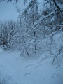 IMG_0486.jpg