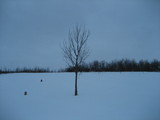 IMG_0494.jpg