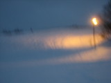 IMG_0500.jpg