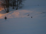 IMG_0501.jpg