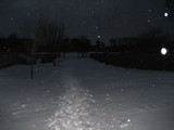 IMG_0515.jpg
