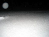 IMG_0520.jpg