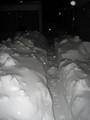 IMG_0549.jpg