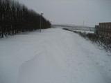 IMG_0558.jpg