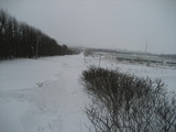 IMG_0563.jpg