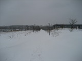 IMG_0565.jpg