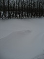 IMG_0568.jpg