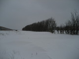 IMG_0569.jpg