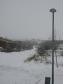 IMG_0572.jpg