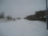 IMG_0580.jpg