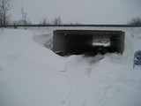 IMG_0582.jpg