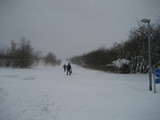IMG_0583.jpg