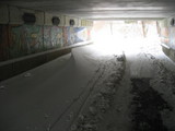 IMG_0586.jpg