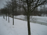 IMG_0590.jpg