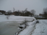 IMG_0595.jpg