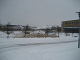 IMG_0597.jpg