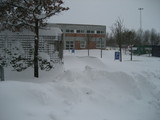IMG_0608.jpg