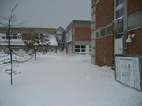 IMG_0611.jpg