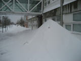 IMG_0613.jpg