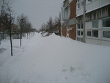 IMG_0614.jpg