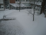 IMG_0617.jpg