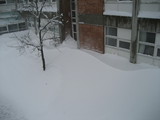 IMG_0622.jpg