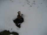 IMG_0650.jpg