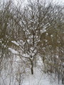 IMG_0655.jpg