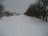 IMG_0656.jpg
