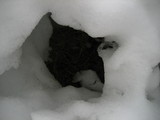 IMG_0659.jpg
