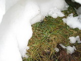 IMG_0660.jpg