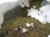 IMG_0661.jpg