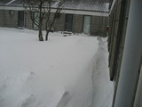 IMG_0671.jpg