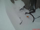 DSC00103.jpg