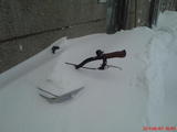 DSC00104.jpg