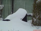 DSC00109.jpg